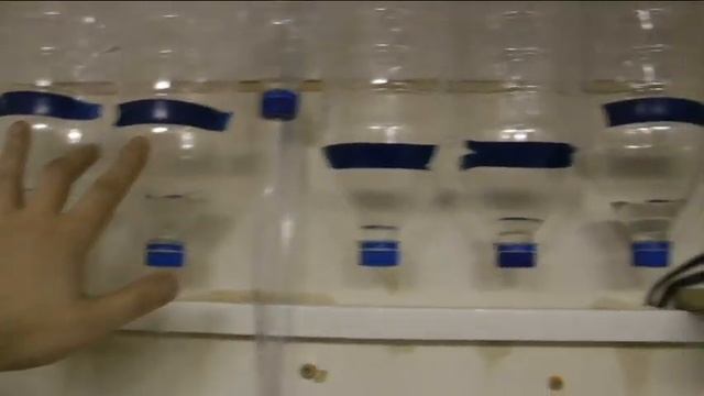 Универсальный стол в гроурум с освещением для клонов, и запуск капельного полива. смотреть онлайн