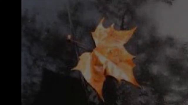 POESIA CONTEMPORANEA - Giordano Paolo - Il ricordo.wmv смотреть онлайн