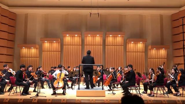 P. I. Tchaikovsky: The Variations on a Rococo Theme, Op.33 смотреть онлайн