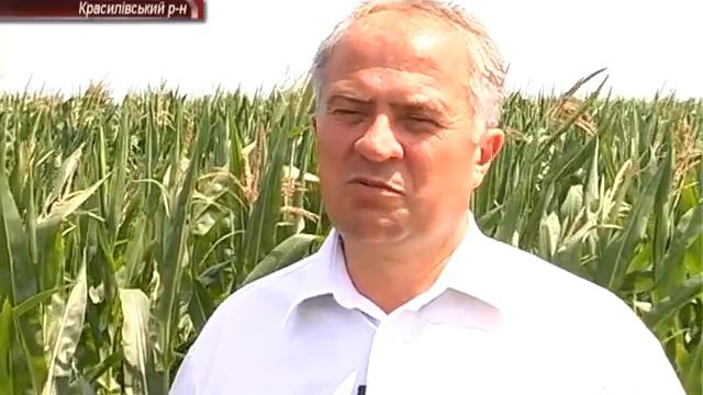 СК Кузьминський смотреть онлайн
