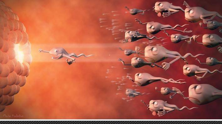 Программирование сперматозоидов по Японски