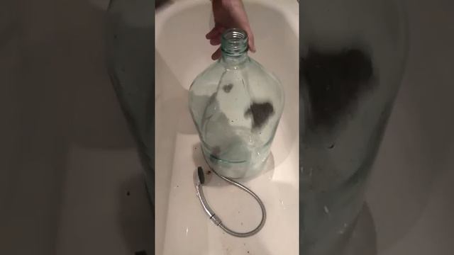 Как отмыть бутыль вина смотреть онлайн