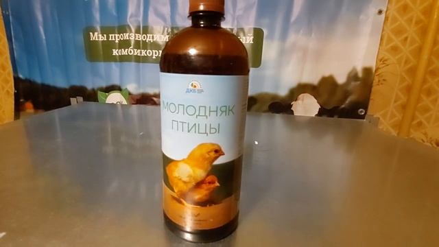 КУДРЯВЫЕ ЦЫПЛЯТА. ЧТО ДЕЛАТЬ??? смотреть онлайн