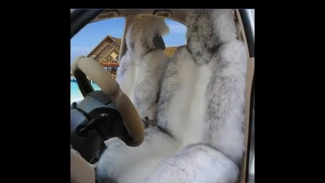 Меховые накидки на сиденья автомобиля смотреть онлайн