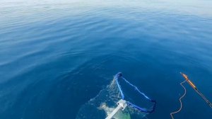 Троллинг Сима Май 2022 Приморский край