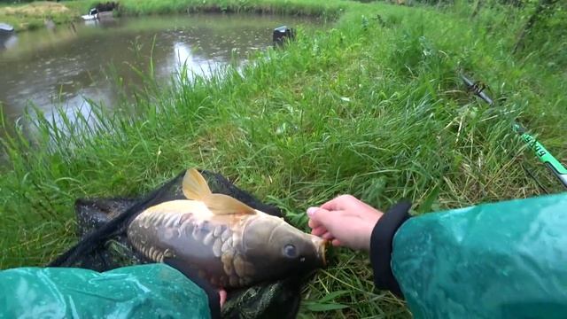 ??Возле РУЧЬЯ нашел КОПАНКУ где живут БОЛЬШИЕ КАРПЫ / ловля карпа на боковой кивок смотреть онлайн