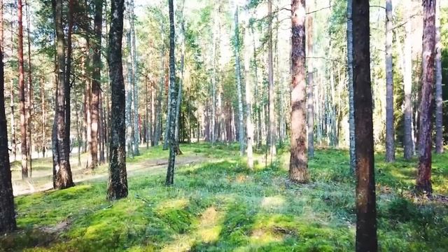 Wanderlust ? - An Indie/Folk/Pop Playlist Travel And Adventure