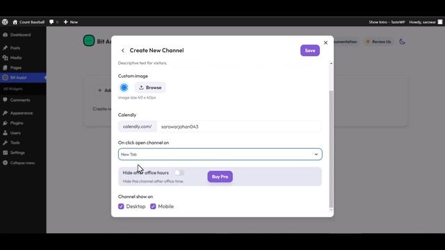 How to add Calendly Schedule link button on your WordPress website using Bit Assist смотреть онлайн