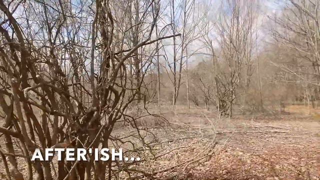 Building our Garden Ep1 | The Vegetable Garden Build Begins (Past to Present) | The ShabinLife смотреть онлайн