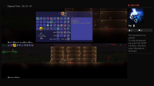 Terraria - Splitscreen Fun смотреть онлайн