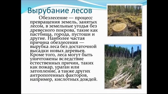 «Земля –наш общий дом» смотреть онлайн