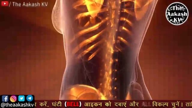 सूर्य नमस्कार मंत्र बोलना सीखें | how to speak surya namaskar mantra in hindi | surya mantra bolna смотреть онлайн