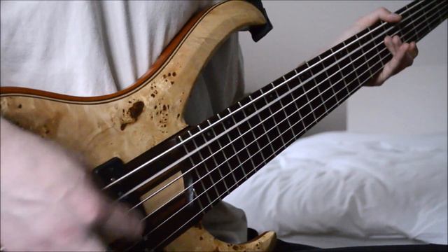 Faces Of Eve - Feed: Bass Playthrough Darkglass X7 смотреть онлайн