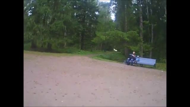 Пушкин-Павловск, на велосипеде(08.09.18).mp4