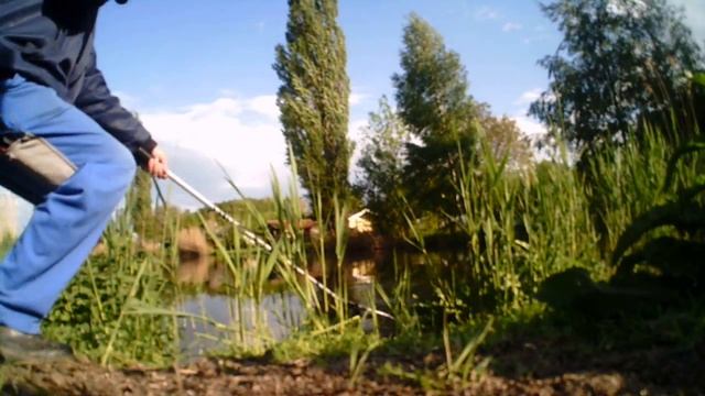 Angeln-video 3 . Ловля линя махавой удочкой с глухой оснасткой .