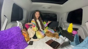 НОЧЬ В МАШИНЕ С СОБАКОЙ🚗🐶 24 Часа ЧЕЛЛЕНДЖ!