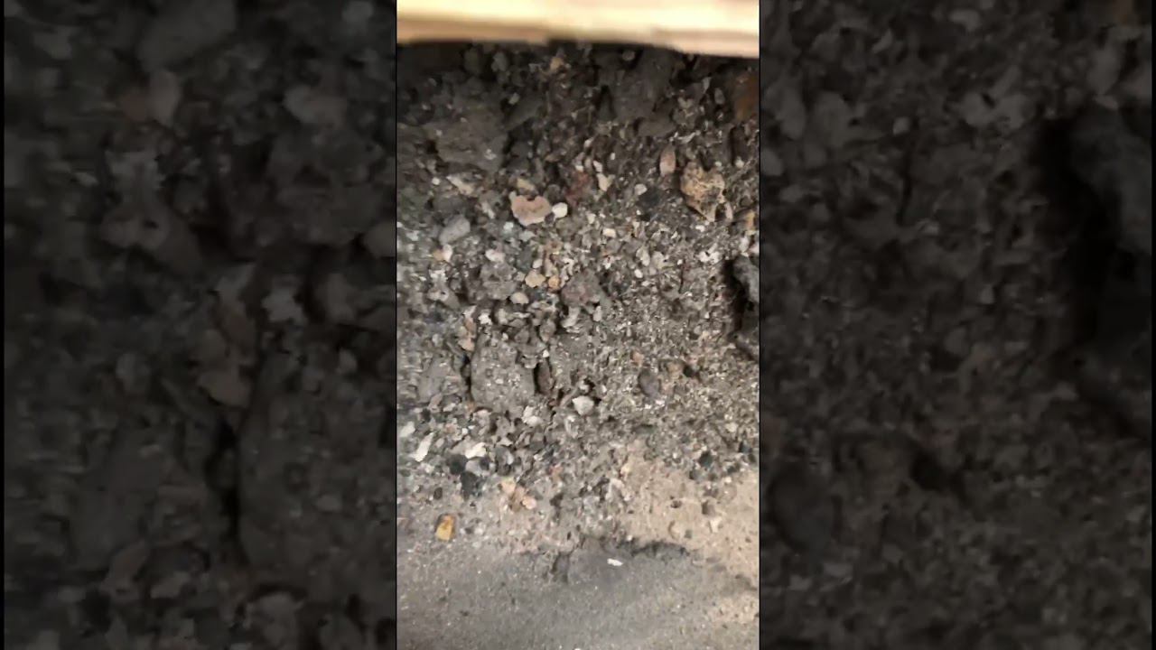 Что находится под полом в убитой квартире? Выполняем ремонт во вторичке #дизайнерскийремонт смотреть онлайн