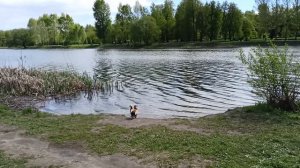 Ночь светла - старинный романс