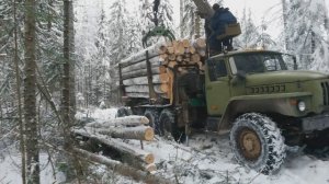 Погрузка и вывоз леса с делянки