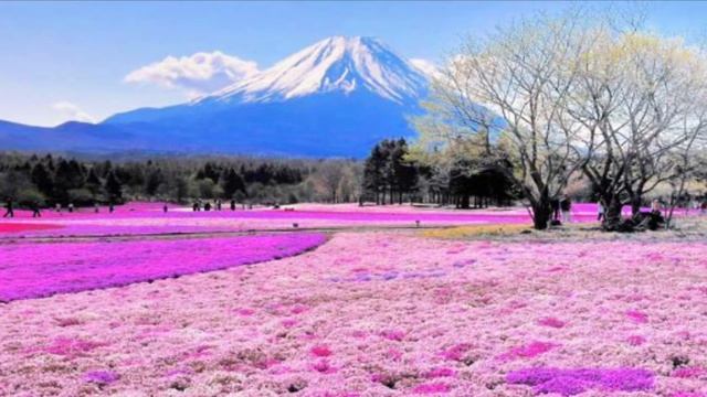 Исцеление от навязчивых мыслей!