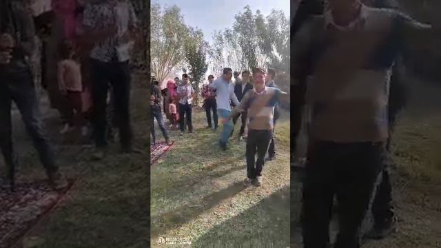 Туи дар Даштичум