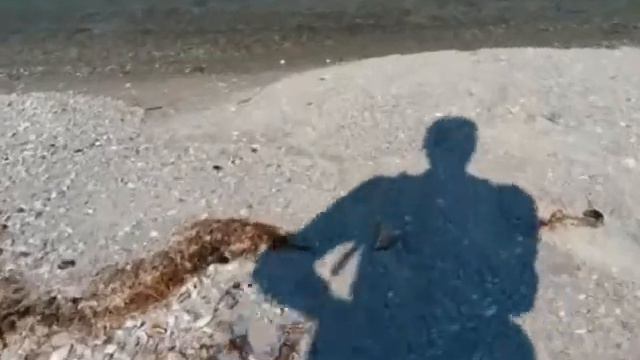 Кинбурнская коса смотреть онлайн