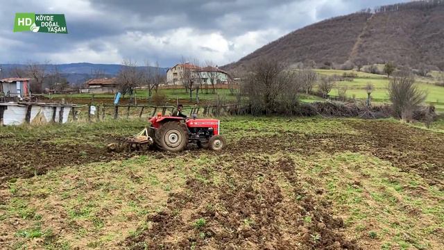 Köy Hayatı - Günlük Rutin Köy İşleri Türkiye - Köy Belgeseli