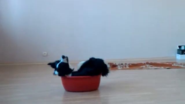 "Клубочек" смотреть онлайн