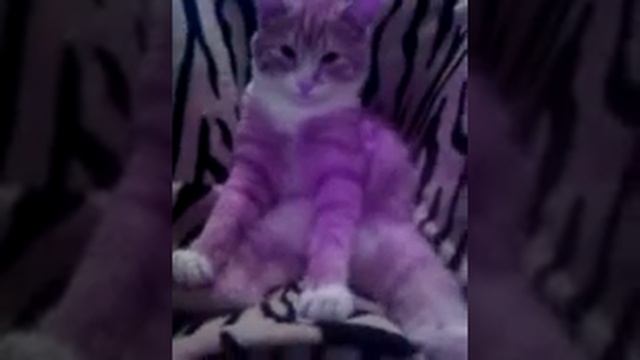 Отдыхаю после тяжелого рабочего дня))) смотреть онлайн