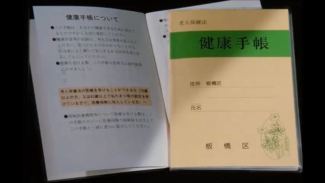 02. Urbanization and Population in Japan (1985) смотреть онлайн