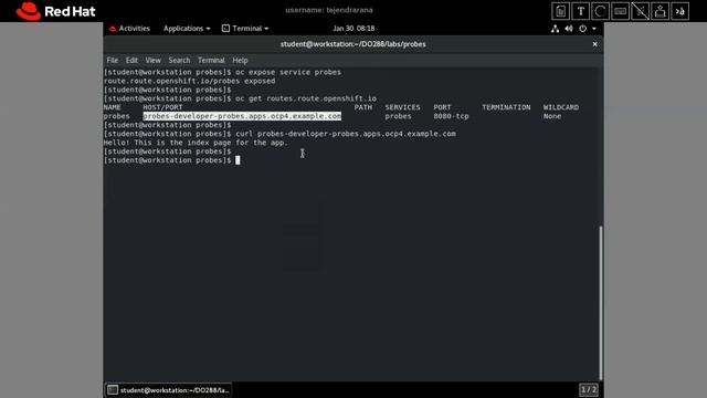 Monitoring Application Health, Readiness & Liveness Probe (OpenShift Tutorial Part-10) Red Hat EX28 смотреть онлайн