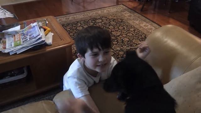 Holly Harris - Puppy Update - 3-11-12 смотреть онлайн