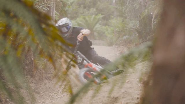 VITAL RAW - RED BULL HARDLINE Tasmania