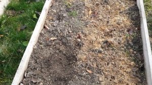 Компост.Компостная грядка. Октябрь 23.2019