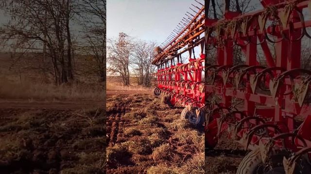 Осень культивация смотреть онлайн