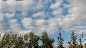 Никола Летний. Приметы и обычаи на 22 мая. Поверья и запреты.