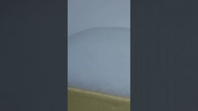 Дачное пчеловодство #ленинградская обл#пчелы #дача смотреть онлайн