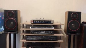 Усилитель Вега 10 У 120 С