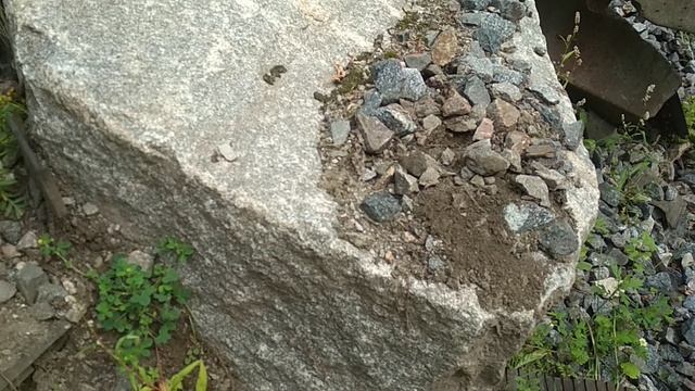 VID_20230820_142449.mp4 смотреть онлайн
