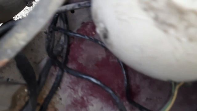 ИЖ 2717 (ОДА) Оживление. Замена проводки под капотом. Восстановление работоспособности автомобиля.