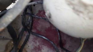 ИЖ 2717 (ОДА) Оживление. Замена проводки под капотом. Восстановление работоспособности автомобиля.