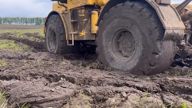 За тысячи вёрст смотреть онлайн