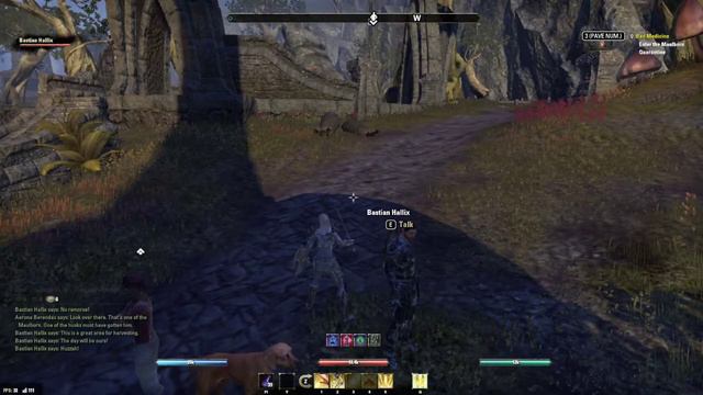 ESO Blackwood | How Good is a Tanking Companion? | Testing Review 2021 смотреть онлайн