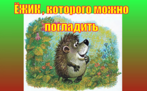 Ёжик , которого можно погладить. Сказка. М.С.Пляцковский