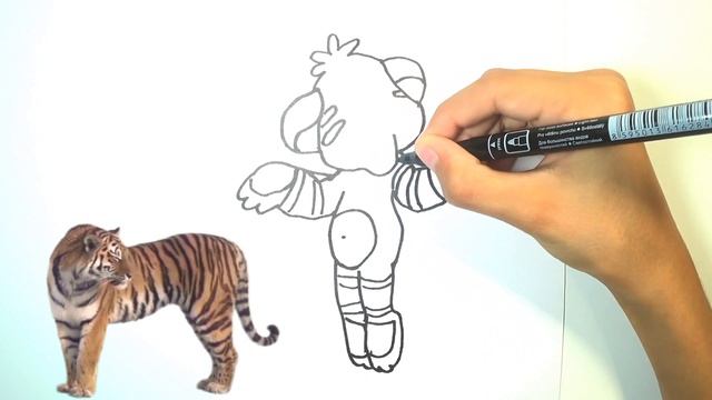 Как нарисовать тигренка / draw a tiger cub / coloring / Раскраска смотреть онлайн