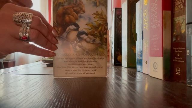 Today’s tarot is from my Spirit of the Animals Oracle Deck ?? смотреть онлайн