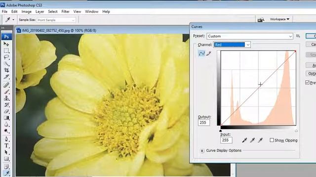 tutorial cara mengatur cahaya foto di photoshop (24) смотреть онлайн