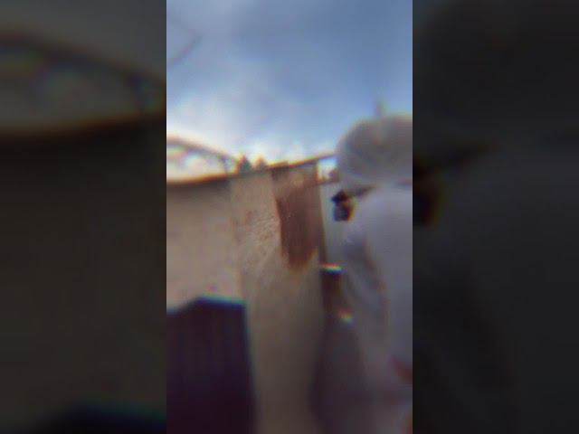 Покраска будки для собаки с помощью аккумуляторного краскораспылителя SCHTAER S633B-18 смотреть онлайн