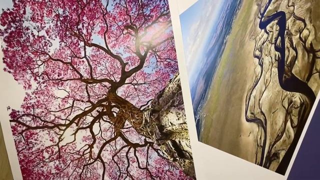 Пошаговые уроки по нейрографике: нейролиния, нейрографическая линия, линия Пискарёва смотреть онлайн