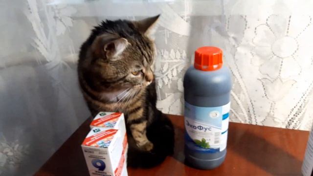 Обзор удобрений для подкормки растений. Экофус. Фертика. Микроэлементы. смотреть онлайн